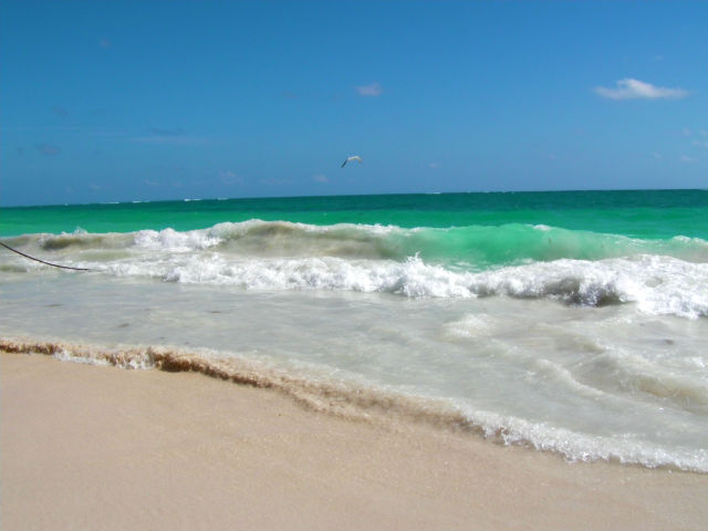 Tulum White Sand Blue Water Beach Riviera Maya Mexico Vacation Beautiful Paradise Tulum White Sand Blue Water Beach Riviera Maya Mexico Vacation Beautiful Paradise