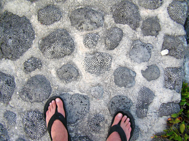 Coral Walkway Xel-ha Riviera Maya Mexico Vacation Beautiful Paradise Coral Walkway Xel-ha Riviera Maya Mexico Vacation Beautiful Paradise