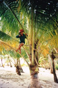 Bevan Bird (4) up a palm tree